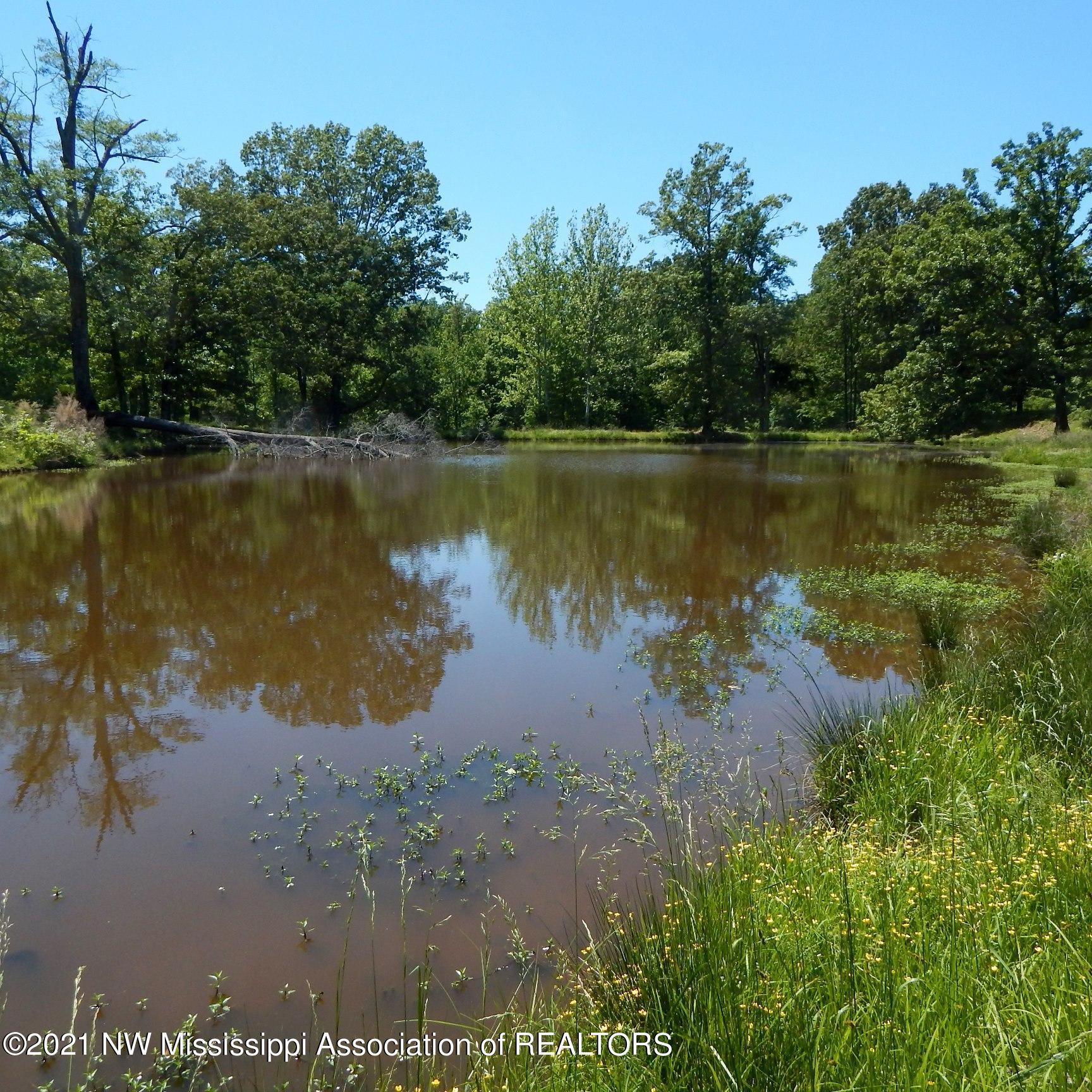 66 Kelly Crossing Road Coldwater, MS 38618 - Photo 26 of 40 Gallery Image 26