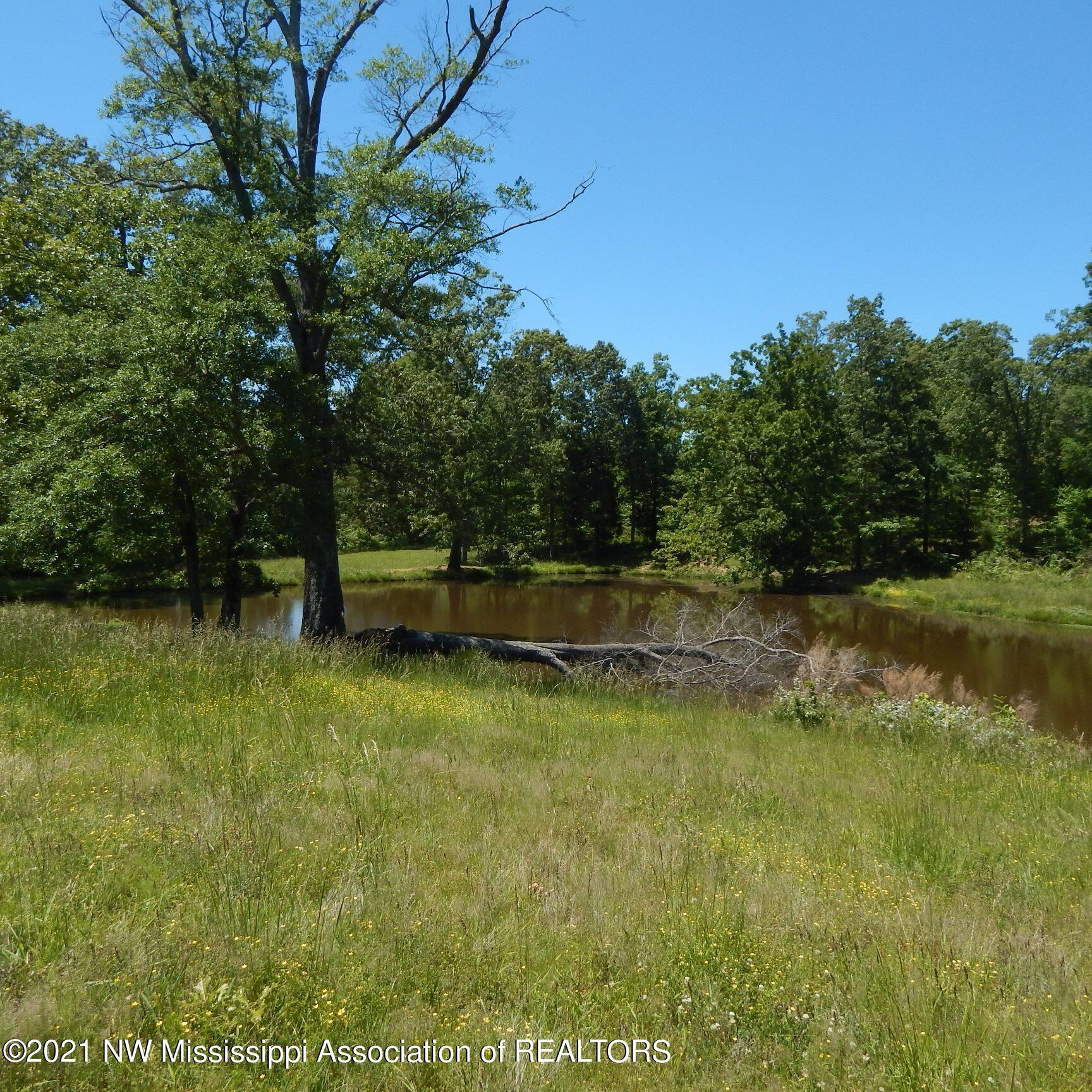 66 Kelly Crossing Road Coldwater, MS 38618 - Photo 27 of 40 Gallery Image 27