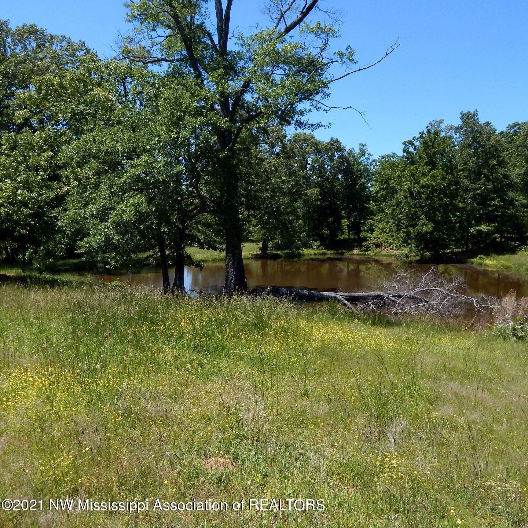 66 Kelly Crossing Road Coldwater, MS 38618 - Photo 29 of 40 Gallery Image 29