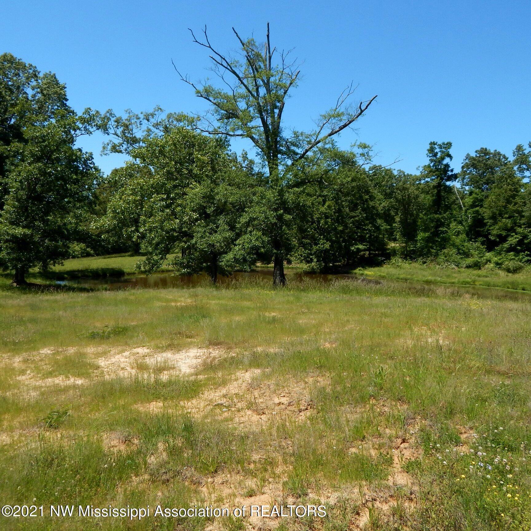 66 Kelly Crossing Road Coldwater, MS 38618 - Photo 31 of 40 Gallery Image 31