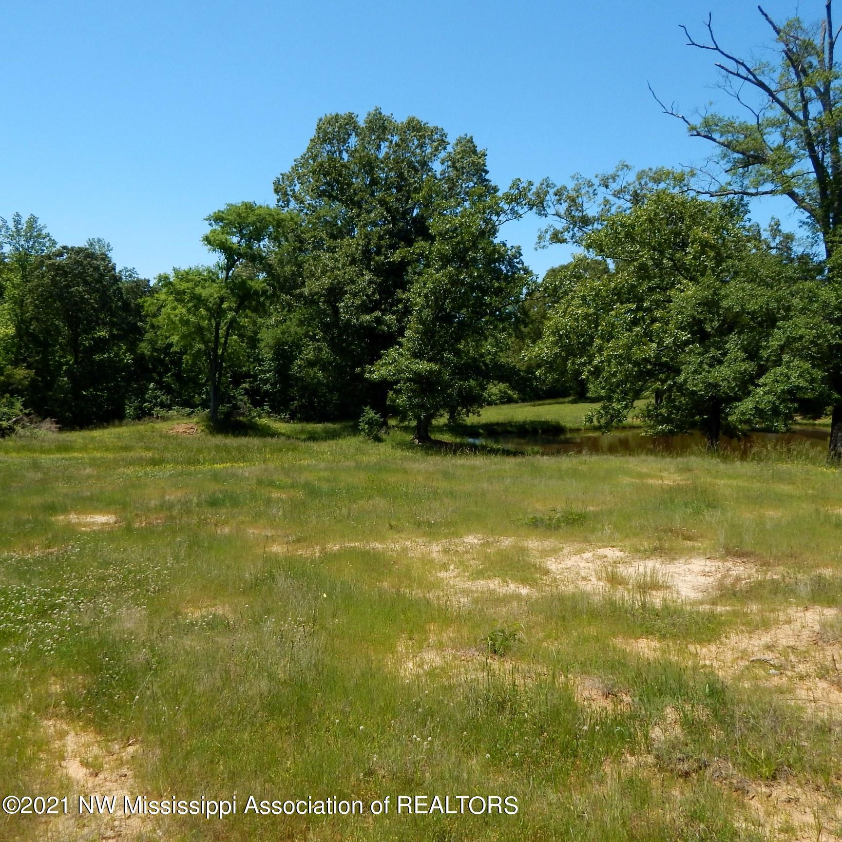 66 Kelly Crossing Road Coldwater, MS 38618 - Photo 32 of 40 Gallery Image 32