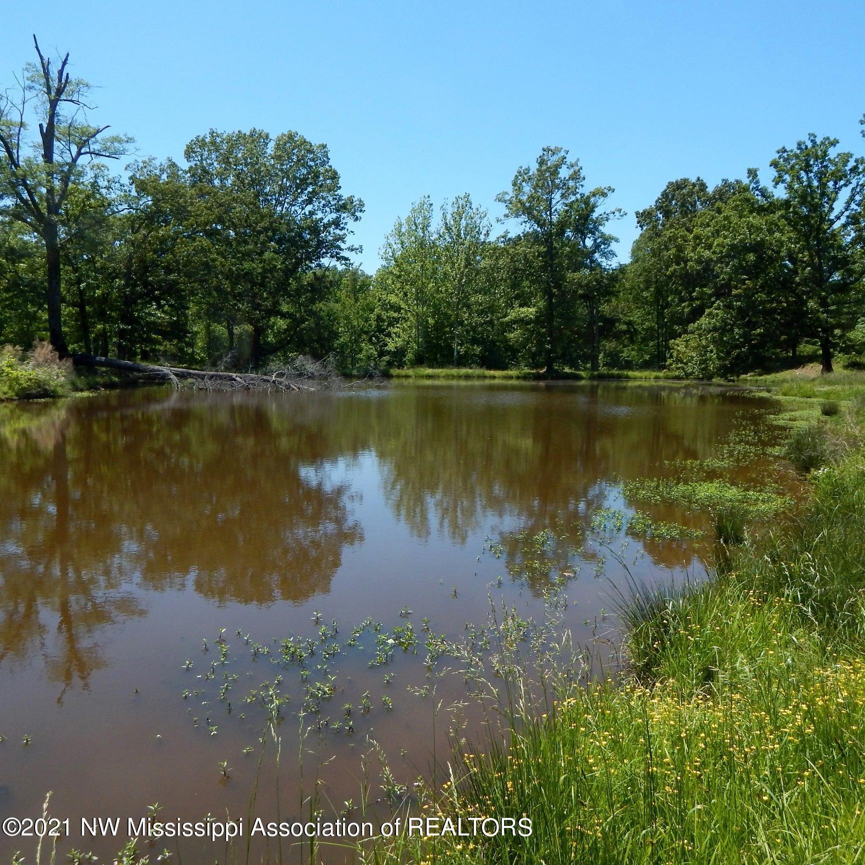66 Kelly Crossing Road Coldwater, MS 38618 - Photo 7 of 40 Additional Photo