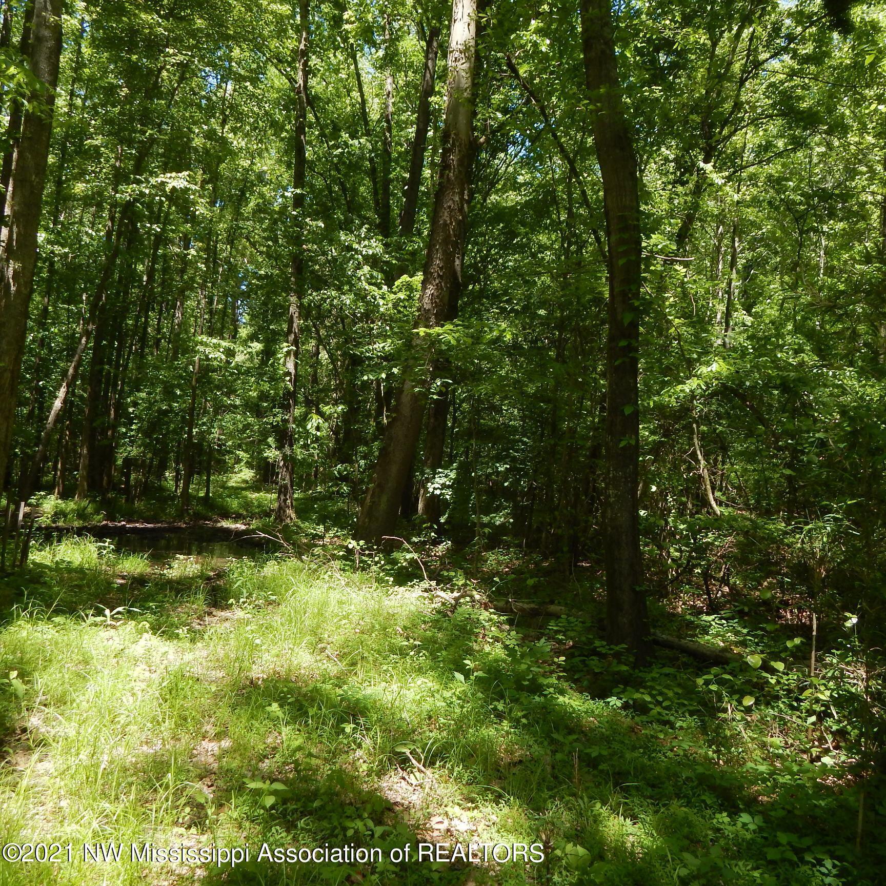 66 Kelly Crossing Road Coldwater, MS 38618 - Photo 10 of 40 Gallery Image 10