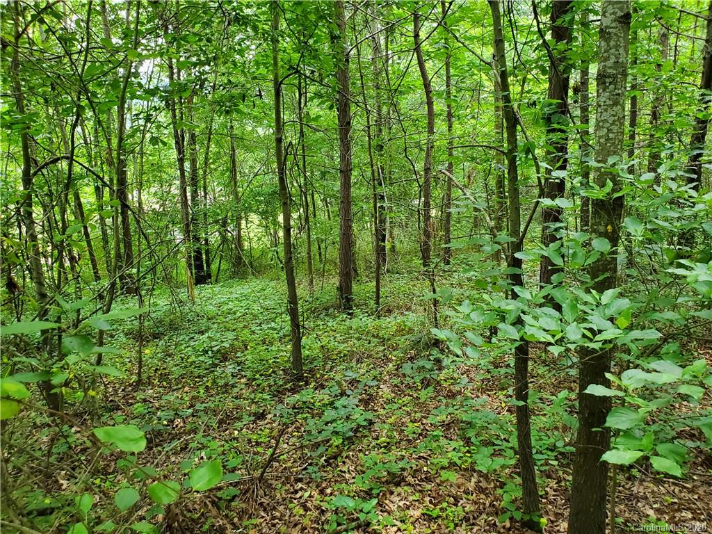 0 Trantham Road Canton, NC 28716 - Photo 3 of 10 a view of outdoor space and green space