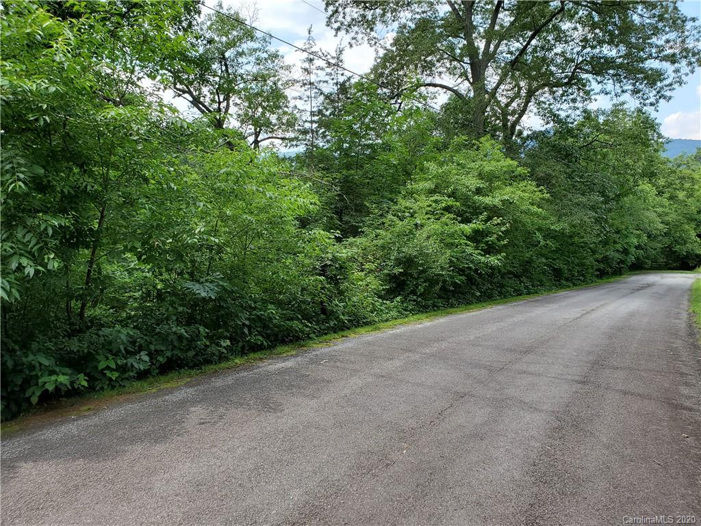 0 Trantham Road Canton, NC 28716 - Photo 4 of 10 a view of a forest with a street