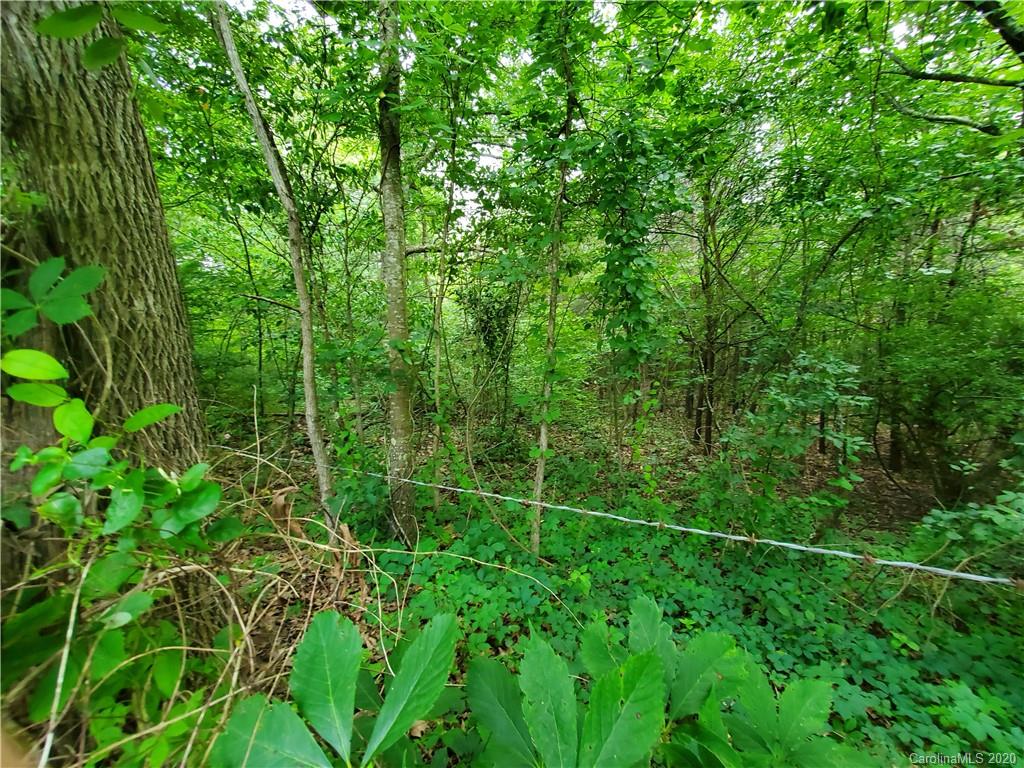 0 Trantham Road Canton, NC 28716 - Photo 5 of 10 a view of a yard and trees