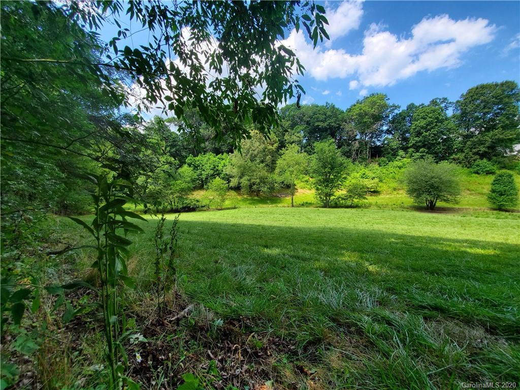 0 Trantham Road Canton, NC 28716 - Photo 10 of 10 a view of a garden with a building in the background