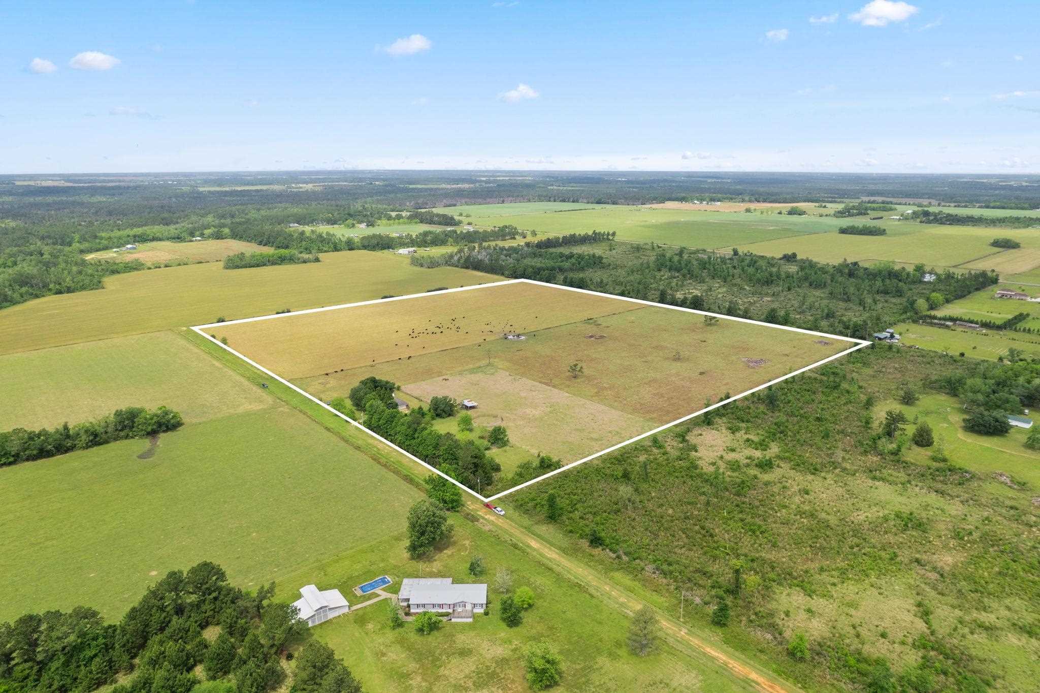 28661 3 Mile Road Elberta, AL 36530 - Photo 3 of 14