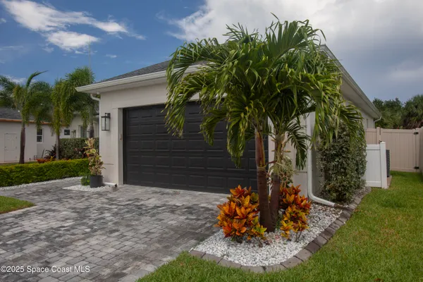a view of a backyard with plants and large tree