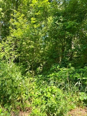 125 Chilson Road Wilbraham, MA 01095 - Photo 2 of 4 Gallery Image 2
