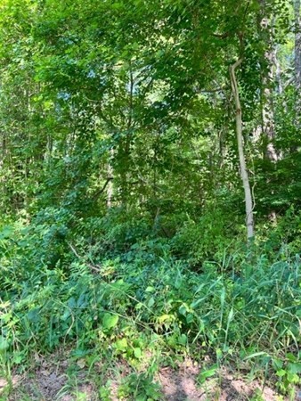 125 Chilson Road Wilbraham, MA 01095 - Photo 4 of 4 Gallery Image 4