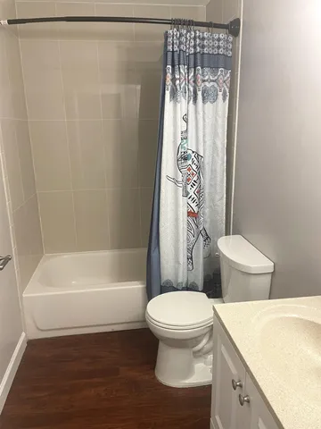 a bathroom with a toilet and a bathtub