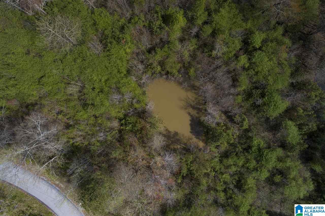 0 Mount Road Blountsville, AL 35031 - Photo 15 of 17