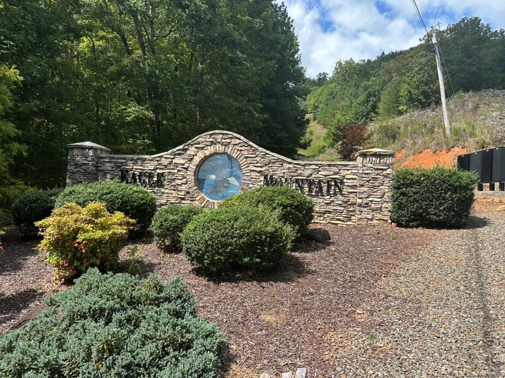 Lot 8-8a Bergan Moore Road Murphy, NC 28906 - Photo 12 of 13 a view of a garden with plants