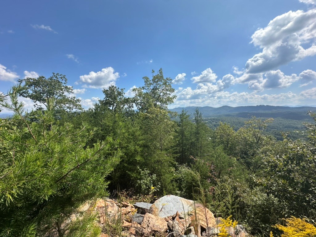 Lot 8-8a Bergan Moore Road Murphy, NC 28906 - Photo 3 of 13 a view of a bunch of trees