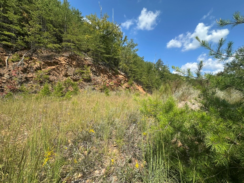 Lot 8-8a Bergan Moore Road Murphy, NC 28906 - Photo 4 of 13 a view of a yard