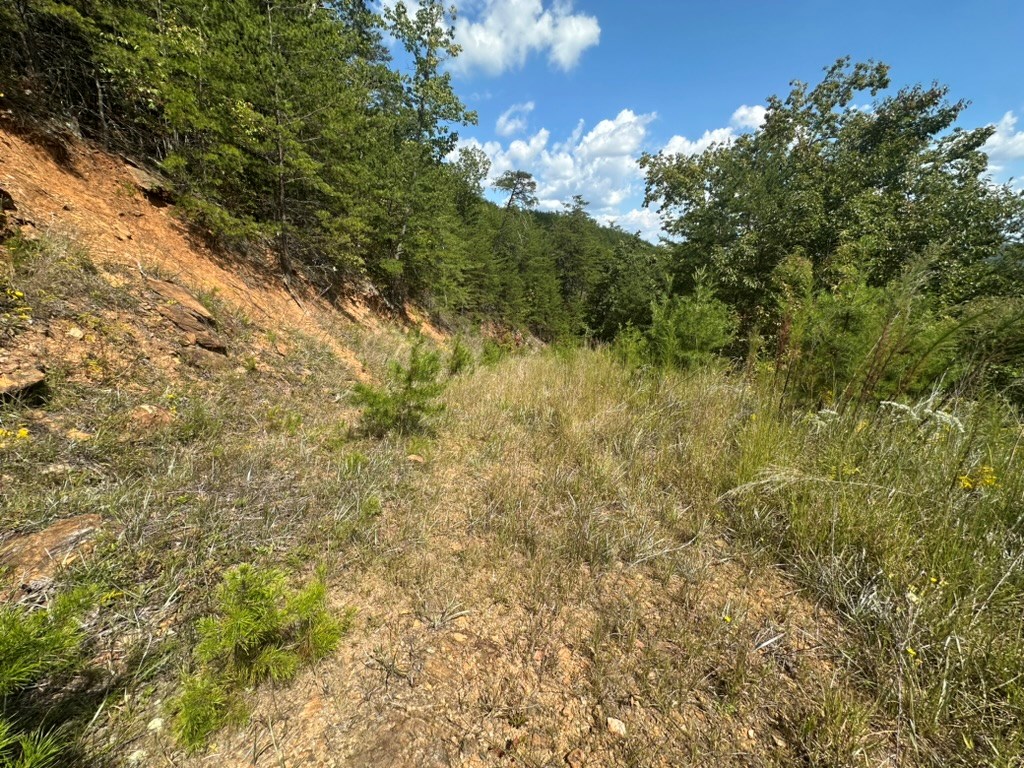 Lot 8-8a Bergan Moore Road Murphy, NC 28906 - Photo 5 of 13 a view of a yard