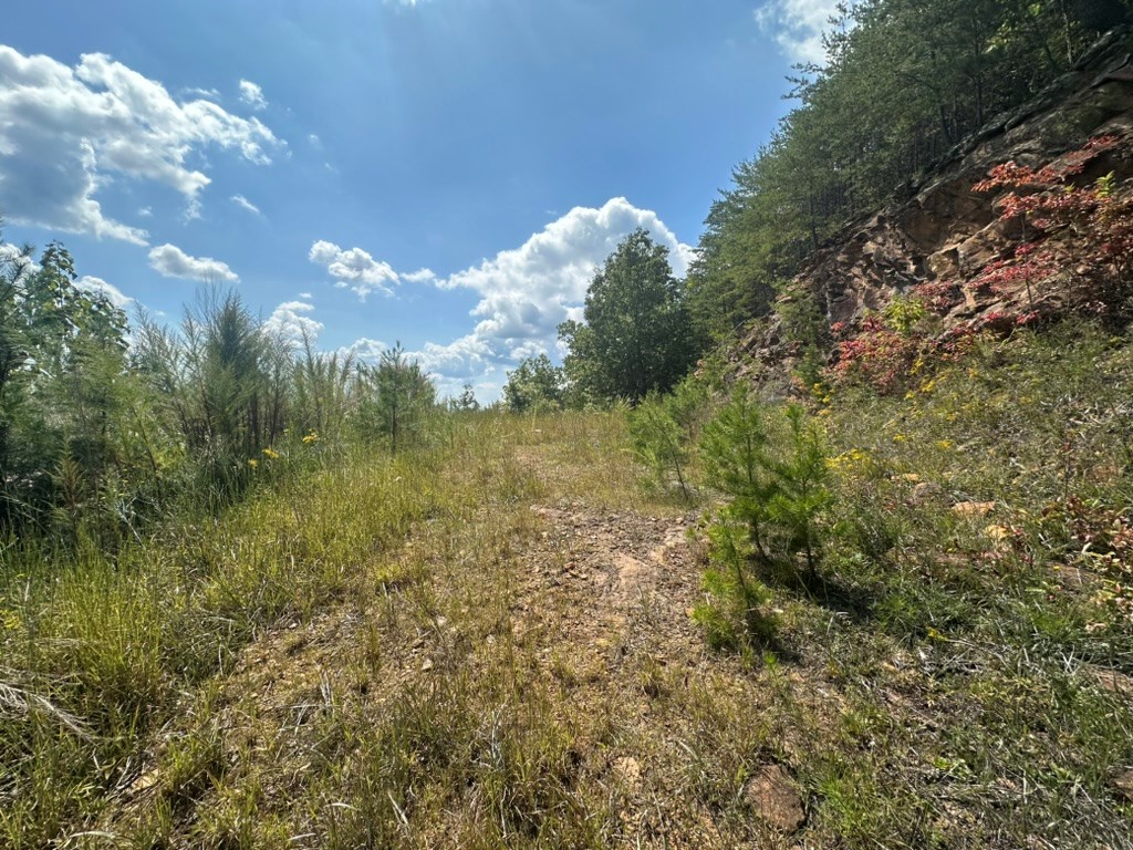 Lot 8-8a Bergan Moore Road Murphy, NC 28906 - Photo 6 of 13 a view of yard with green space