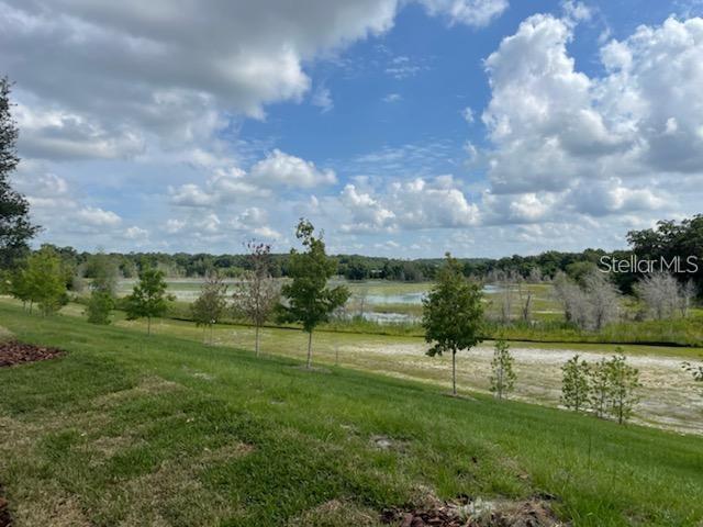 2332 Litchfield Loop DeLand, FL 32720 - Photo 13 of 15 a view of a green field
