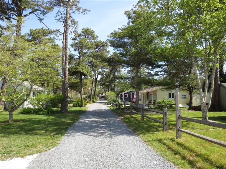 248 Old Wharf Road, Unit E2 Dennis Port, MA 02639 - Photo 5 of 27 a view of park with large trees
