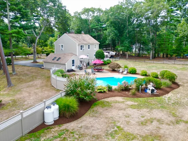 a view of a swimming pool with lawn chairs plants and large trees