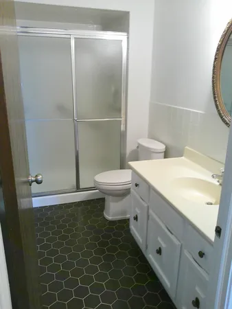 a bathroom with a sink a toilet and shower