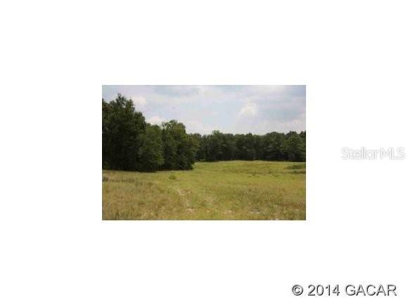 0 Off Mount Fort White, FL 32038 - Photo 1 of 1