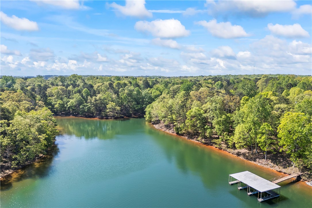 168 Wilderness Point Road Hartwell, GA 30643 - Photo 11 of 43