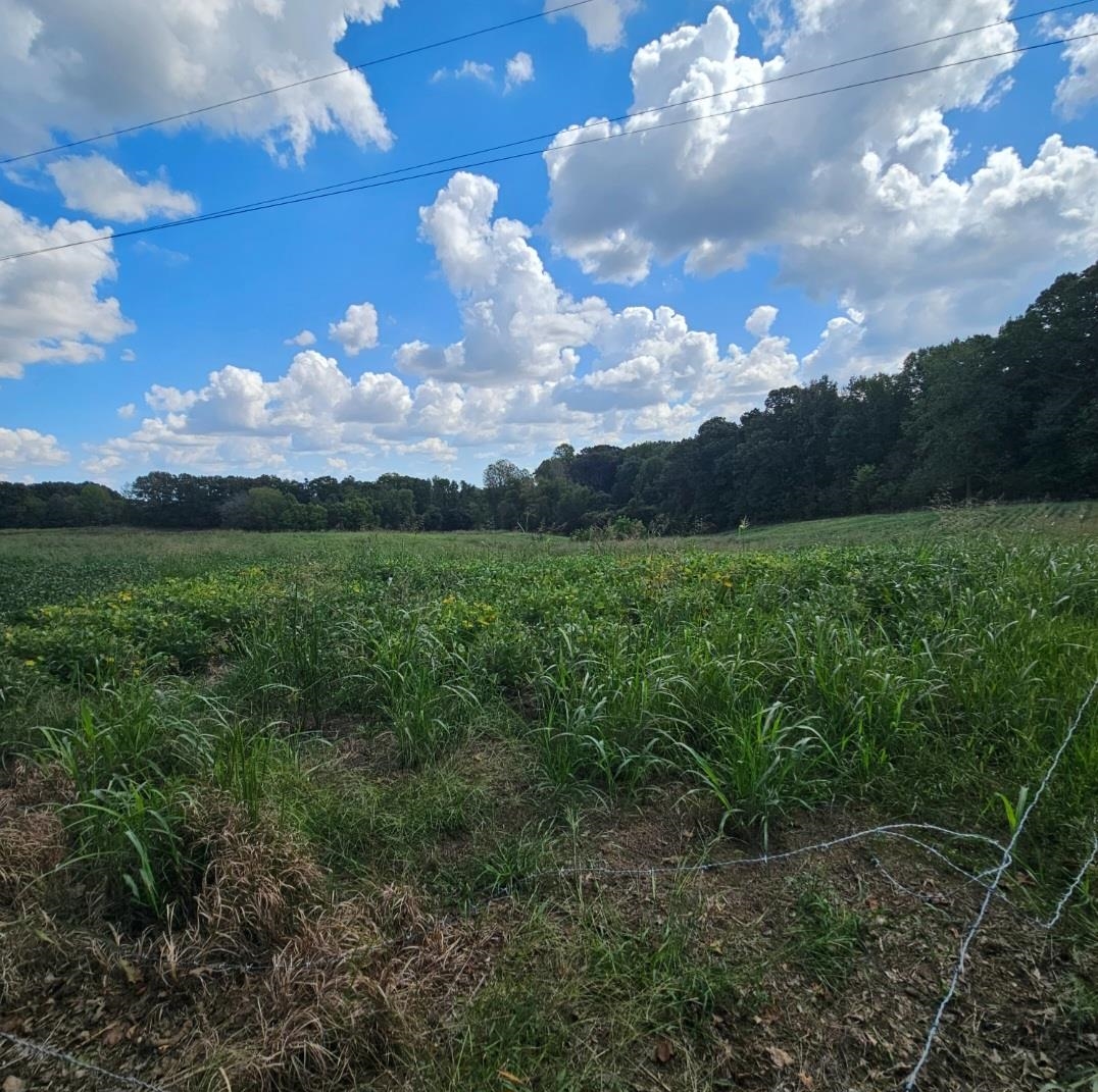 1 Shiloh Road, Unit 5 ACRES Covington, TN 38019 - Photo 1 of 3 View of nature featuring a rural view