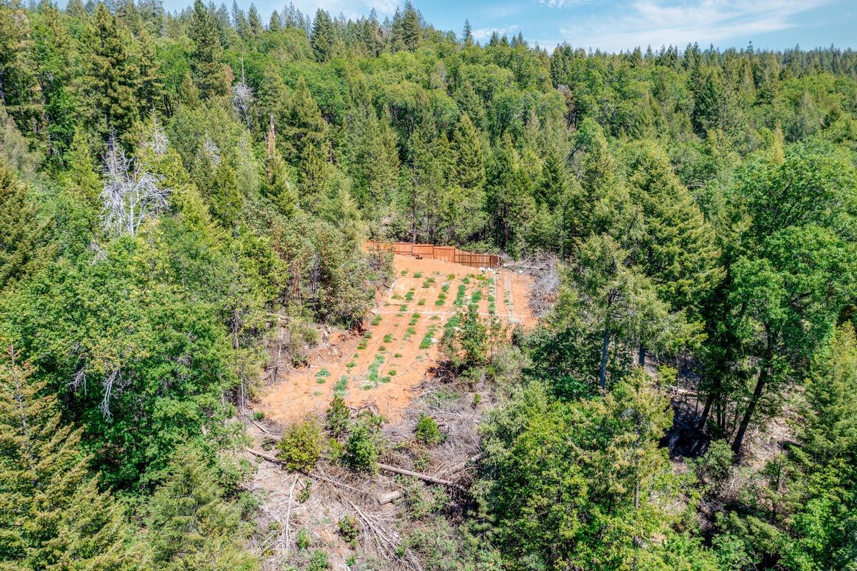 10-acres Kentucky Flat Road Georgetown, CA 95634 - Photo 12 of 25