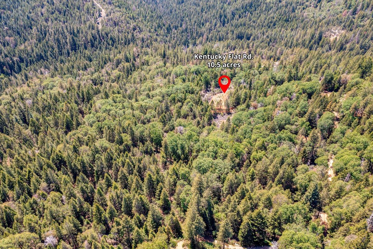 10-acres Kentucky Flat Road Georgetown, CA 95634 - Photo 16 of 25