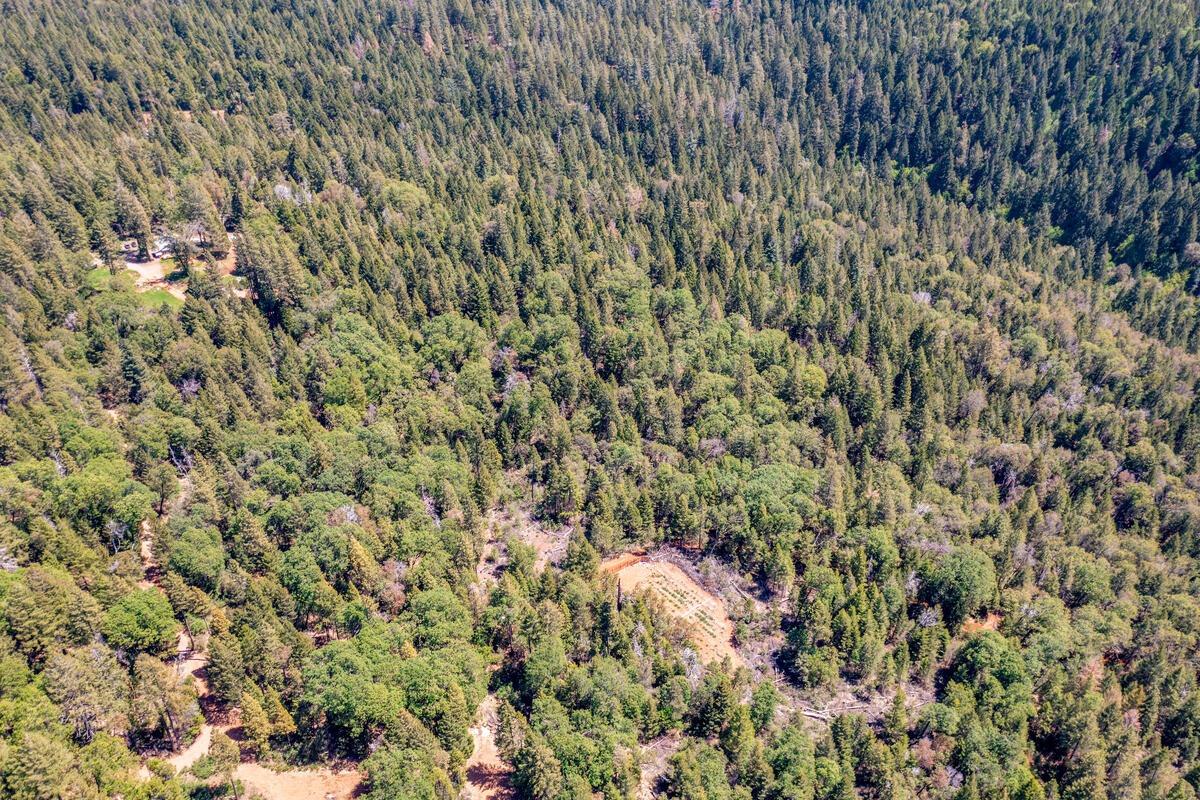 10-acres Kentucky Flat Road Georgetown, CA 95634 - Photo 22 of 25 a view of a lush green field