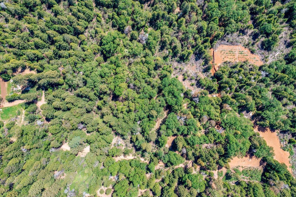 10-acres Kentucky Flat Road Georgetown, CA 95634 - Photo 24 of 25