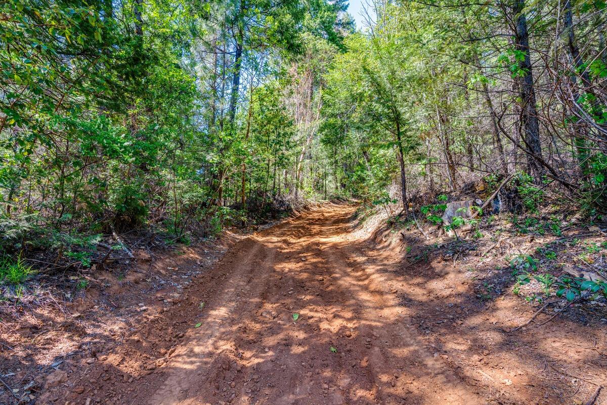 10-acres Kentucky Flat Road Georgetown, CA 95634 - Photo 3 of 25 a view of outdoor space and trees