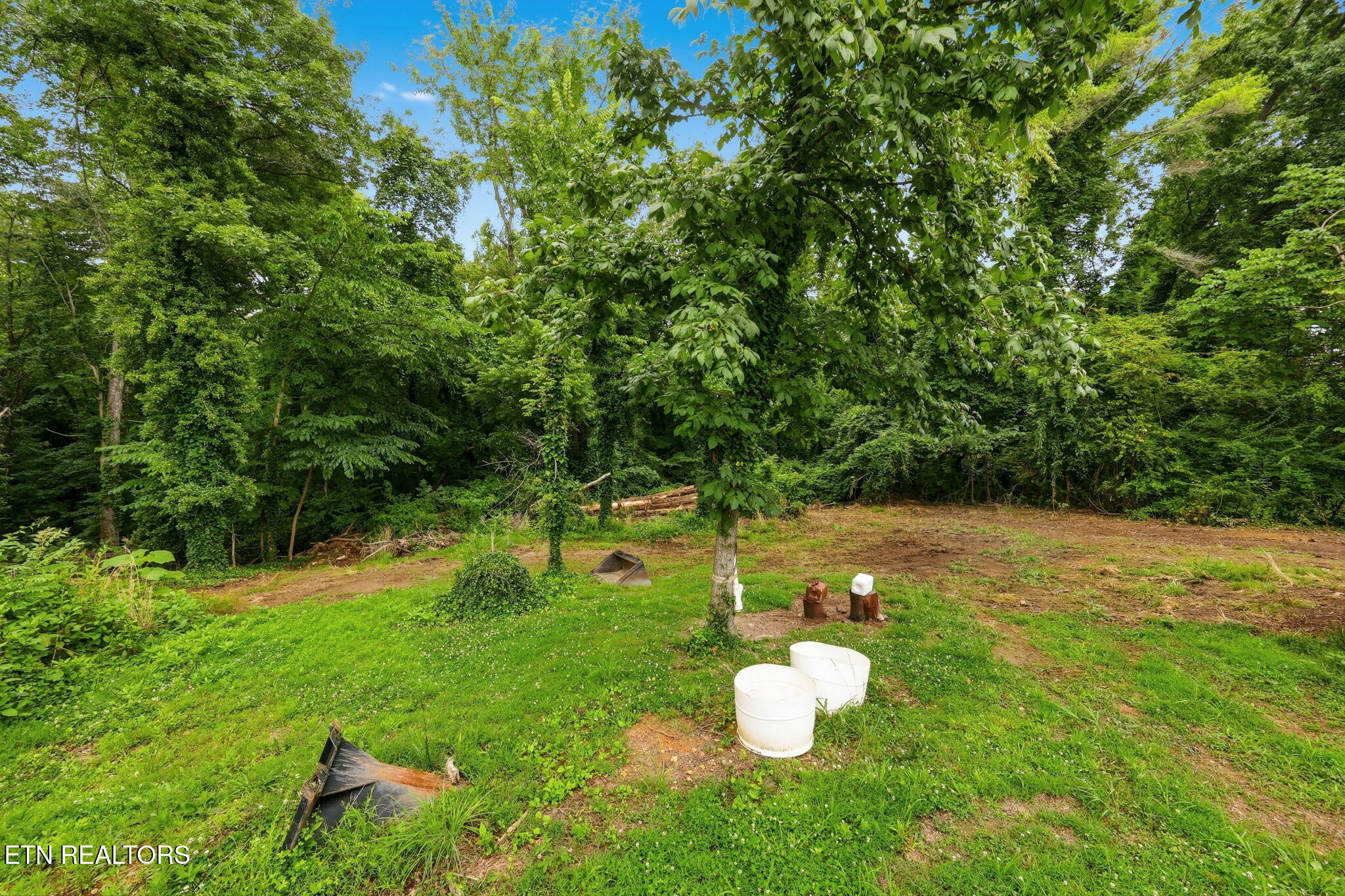 126 Kentucky Avenue Oak Ridge, TN 37830 - Photo 19 of 19 IMG_5089