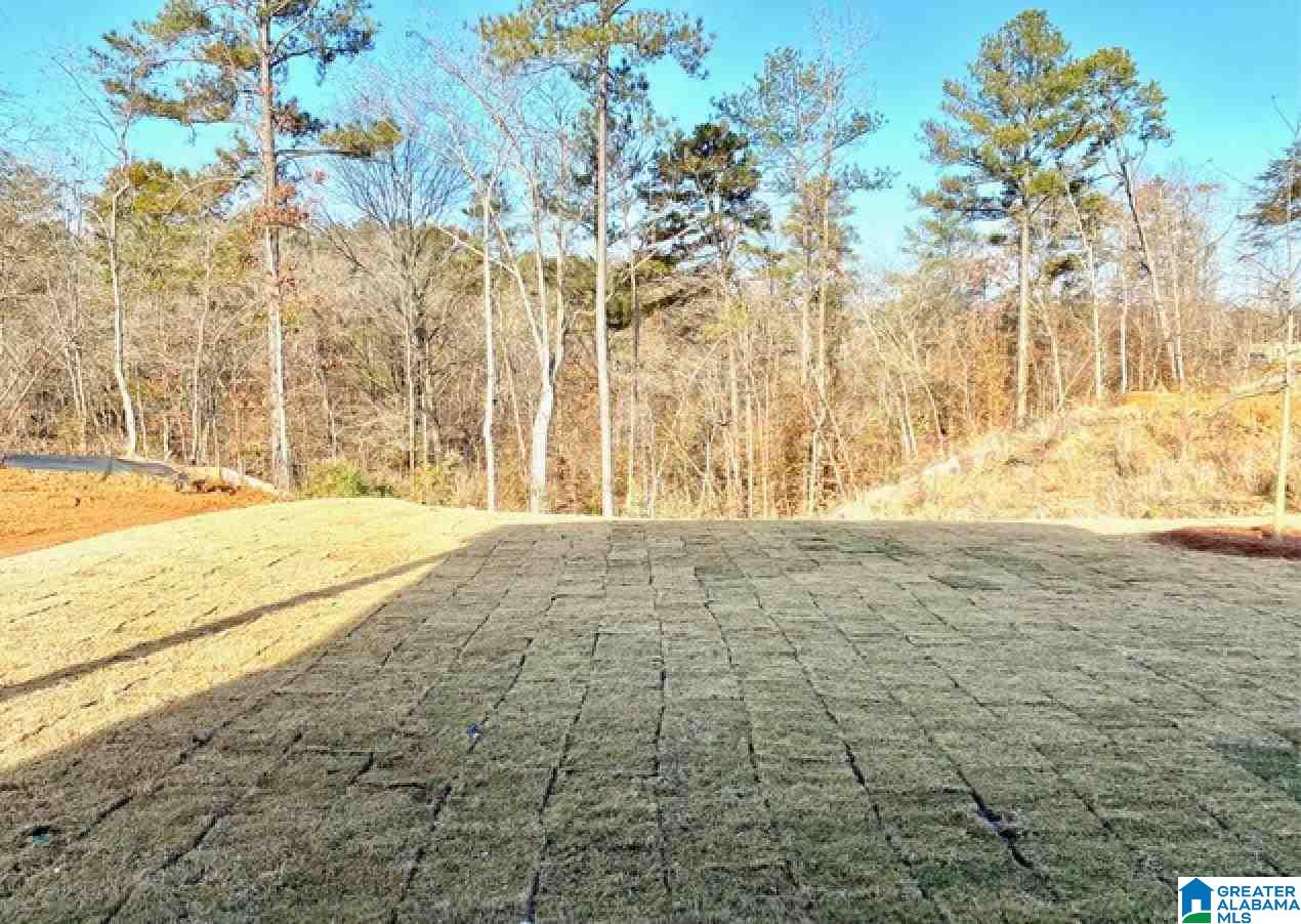 5753 Colton Road Birmingham, AL 35244 - Photo 14 of 15