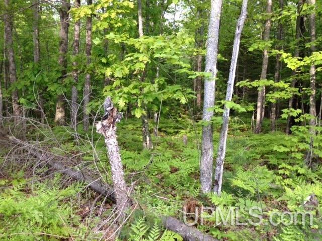 2 Bootjack Road, Unit PRINCESS POINT AREA Lake Linden, MI 49945 - Photo 18 of 20