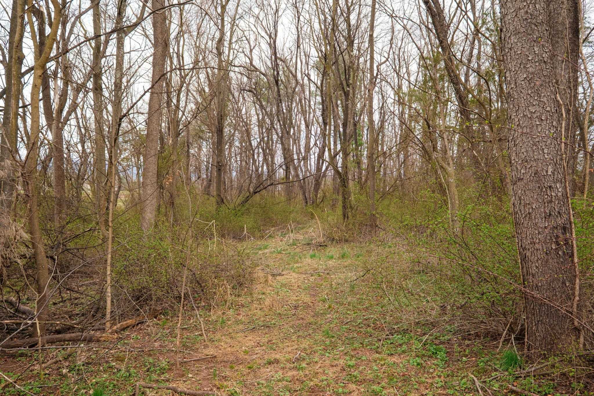 Tbd Kerns Road Dayton, VA 22821 - Photo 16 of 17