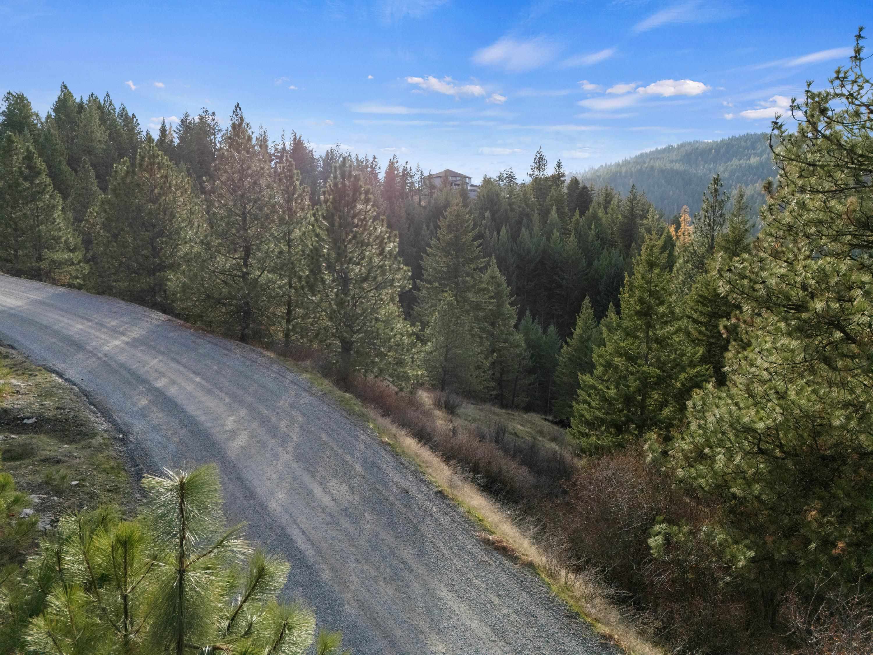 Xxxx East Vw Rdg Lane Spokane, WA 99206 - Photo 13 of 32