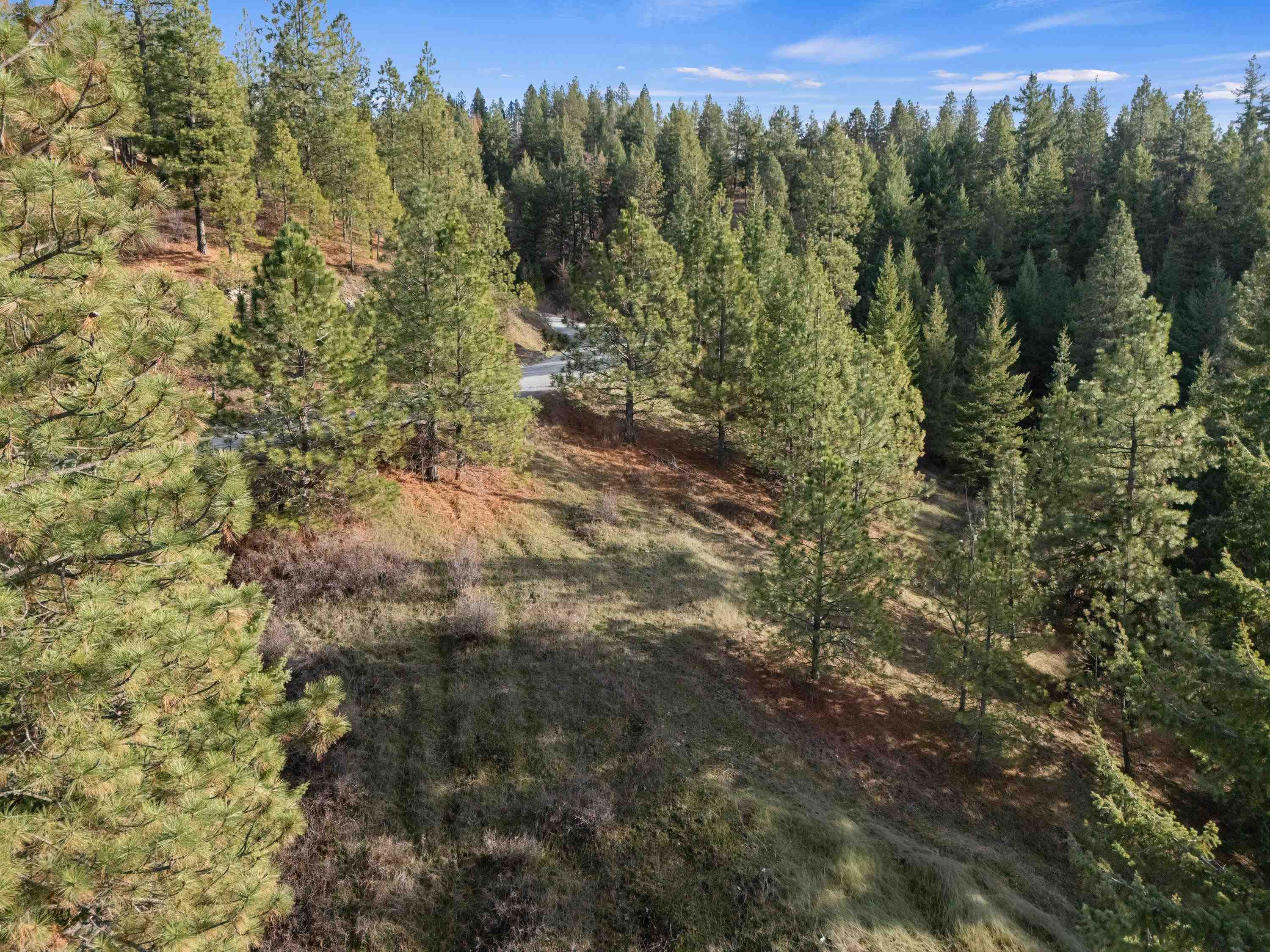 Xxxx East Vw Rdg Lane Spokane, WA 99206 - Photo 15 of 32