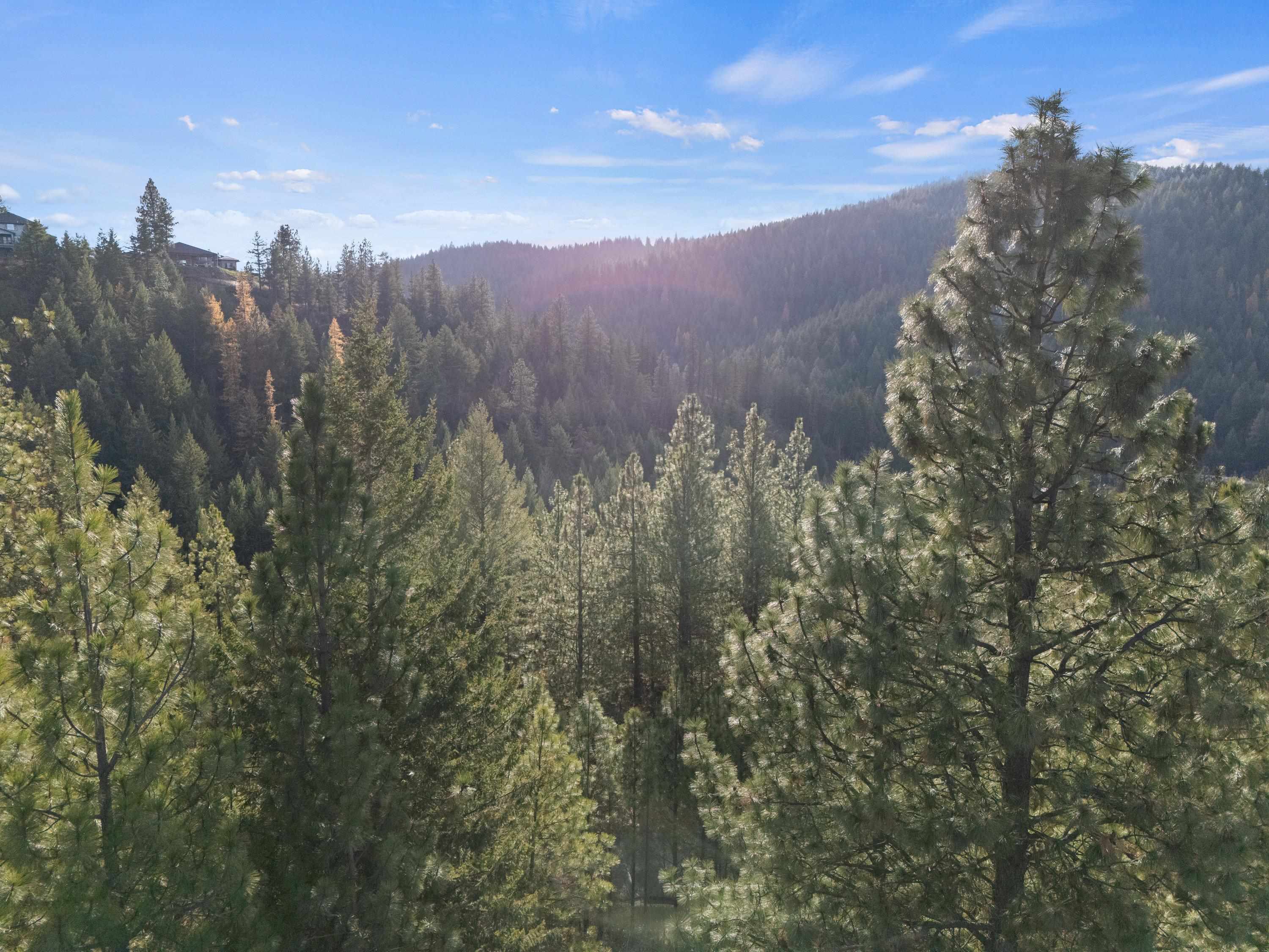 Xxxx East Vw Rdg Lane Spokane, WA 99206 - Photo 16 of 32