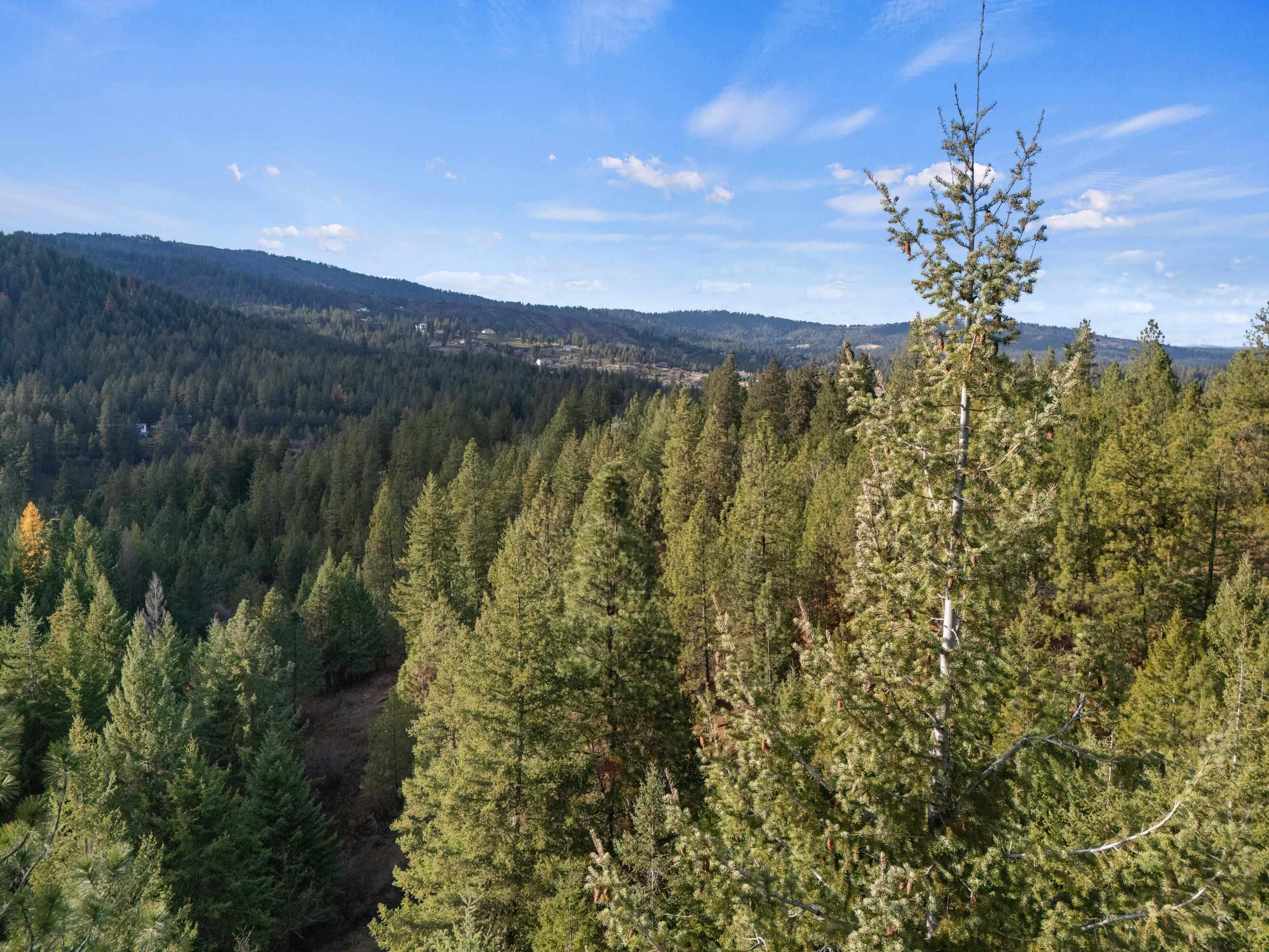 Xxxx East Vw Rdg Lane Spokane, WA 99206 - Photo 17 of 32