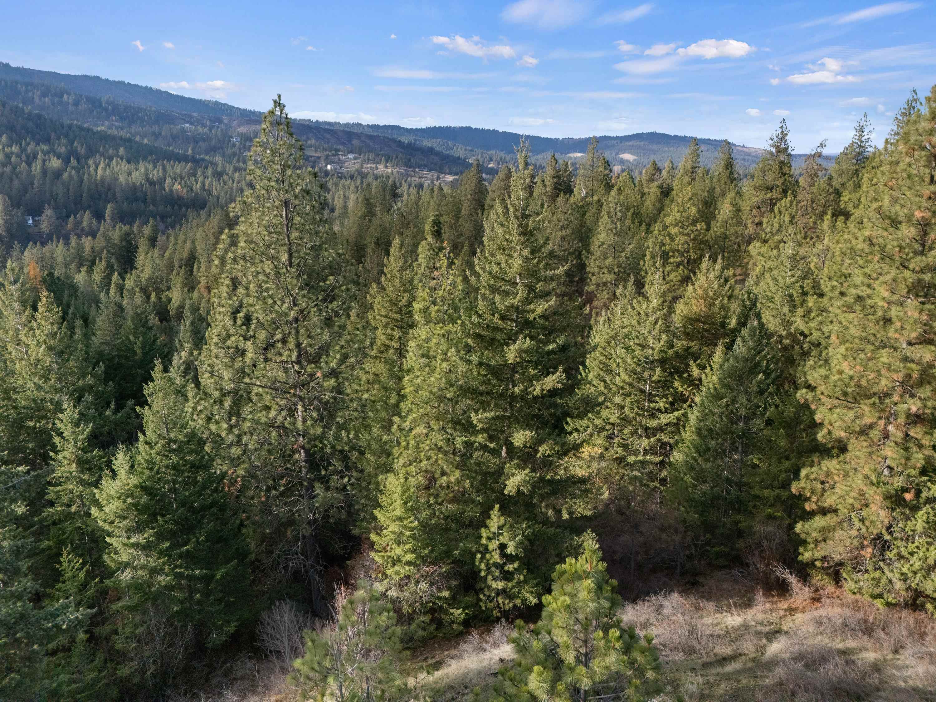 Xxxx East Vw Rdg Lane Spokane, WA 99206 - Photo 18 of 32