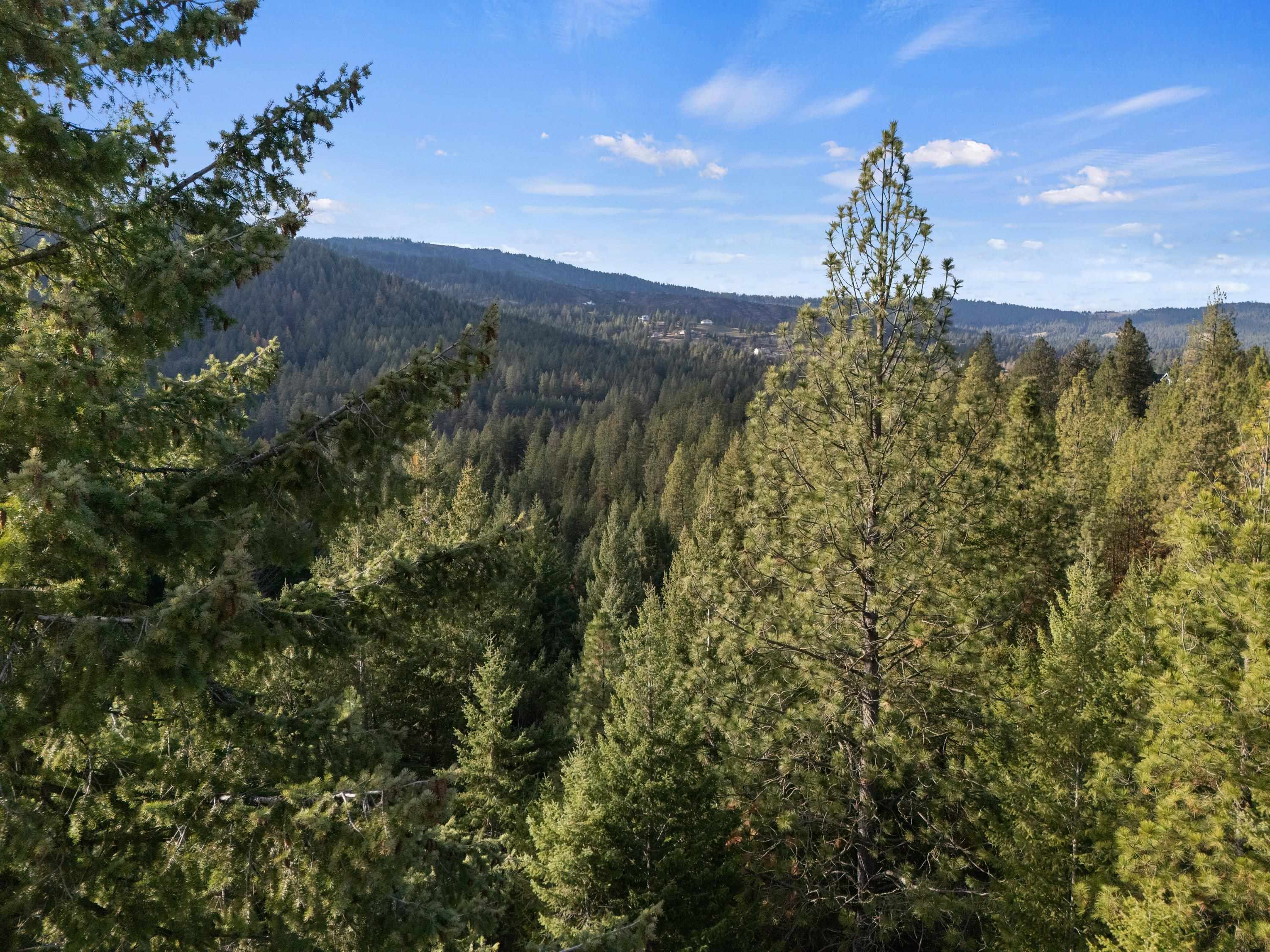 Xxxx East Vw Rdg Lane Spokane, WA 99206 - Photo 19 of 32