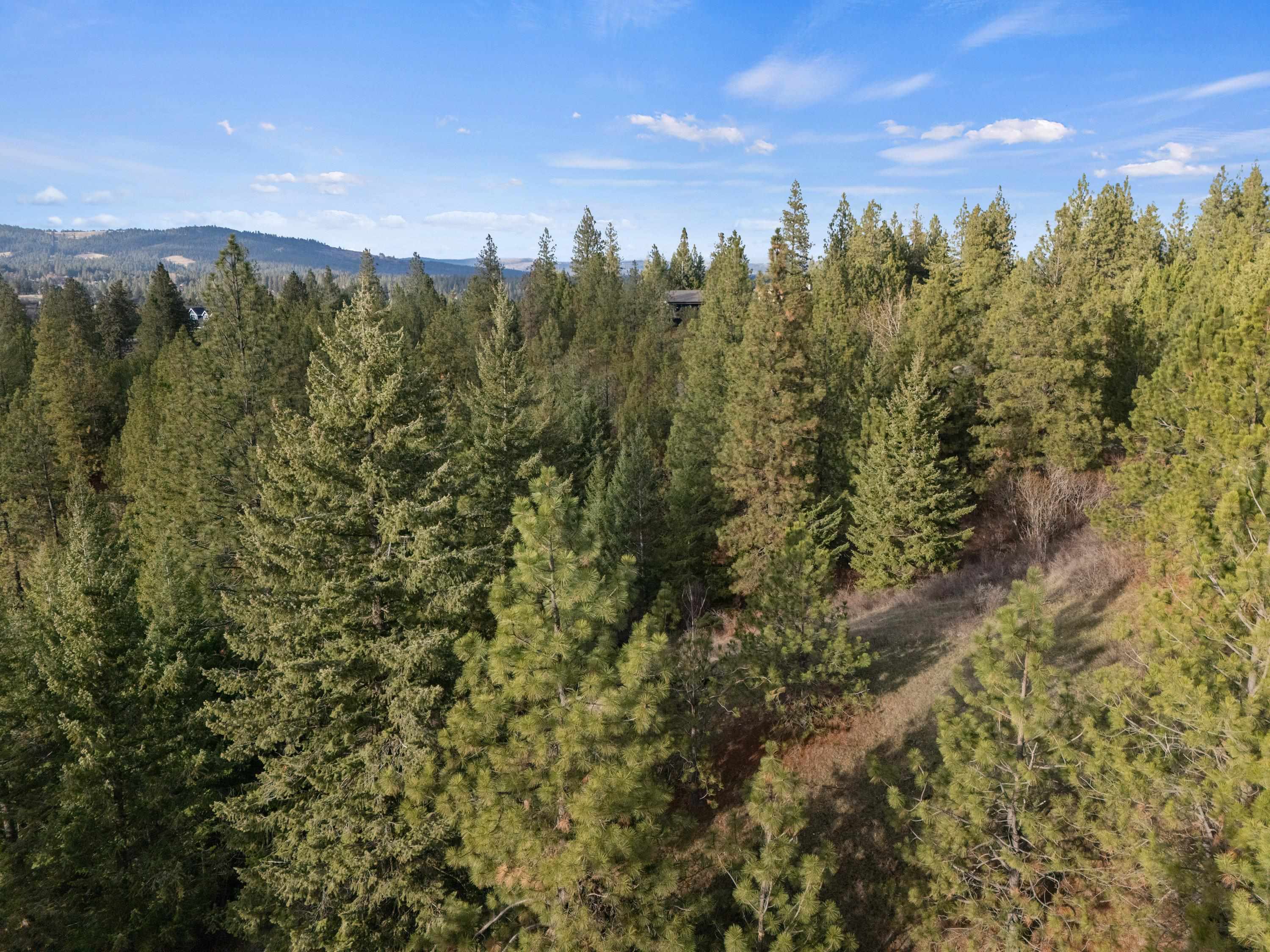 Xxxx East Vw Rdg Lane Spokane, WA 99206 - Photo 20 of 32