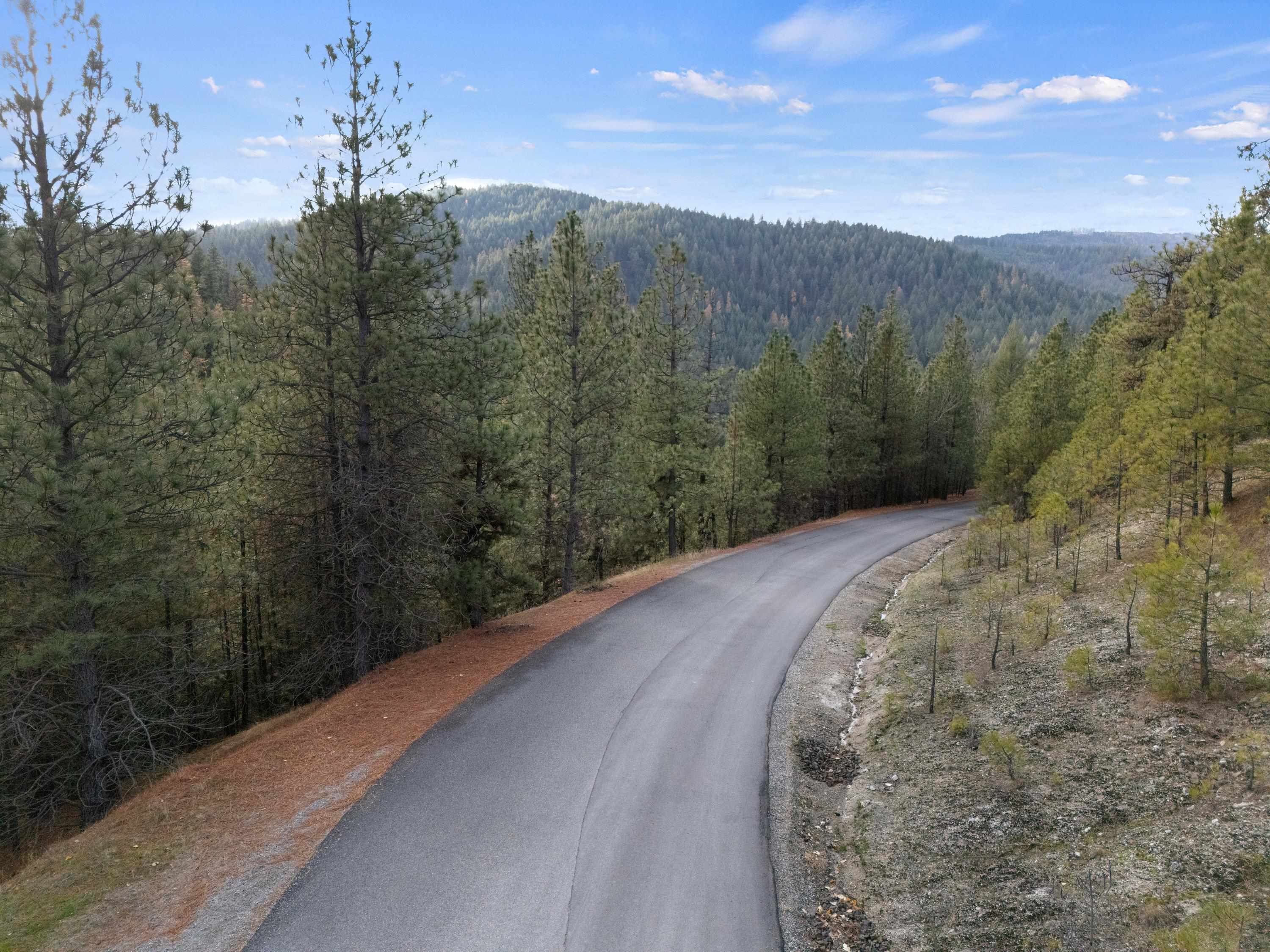 Xxxx East Vw Rdg Lane Spokane, WA 99206 - Photo 2 of 32