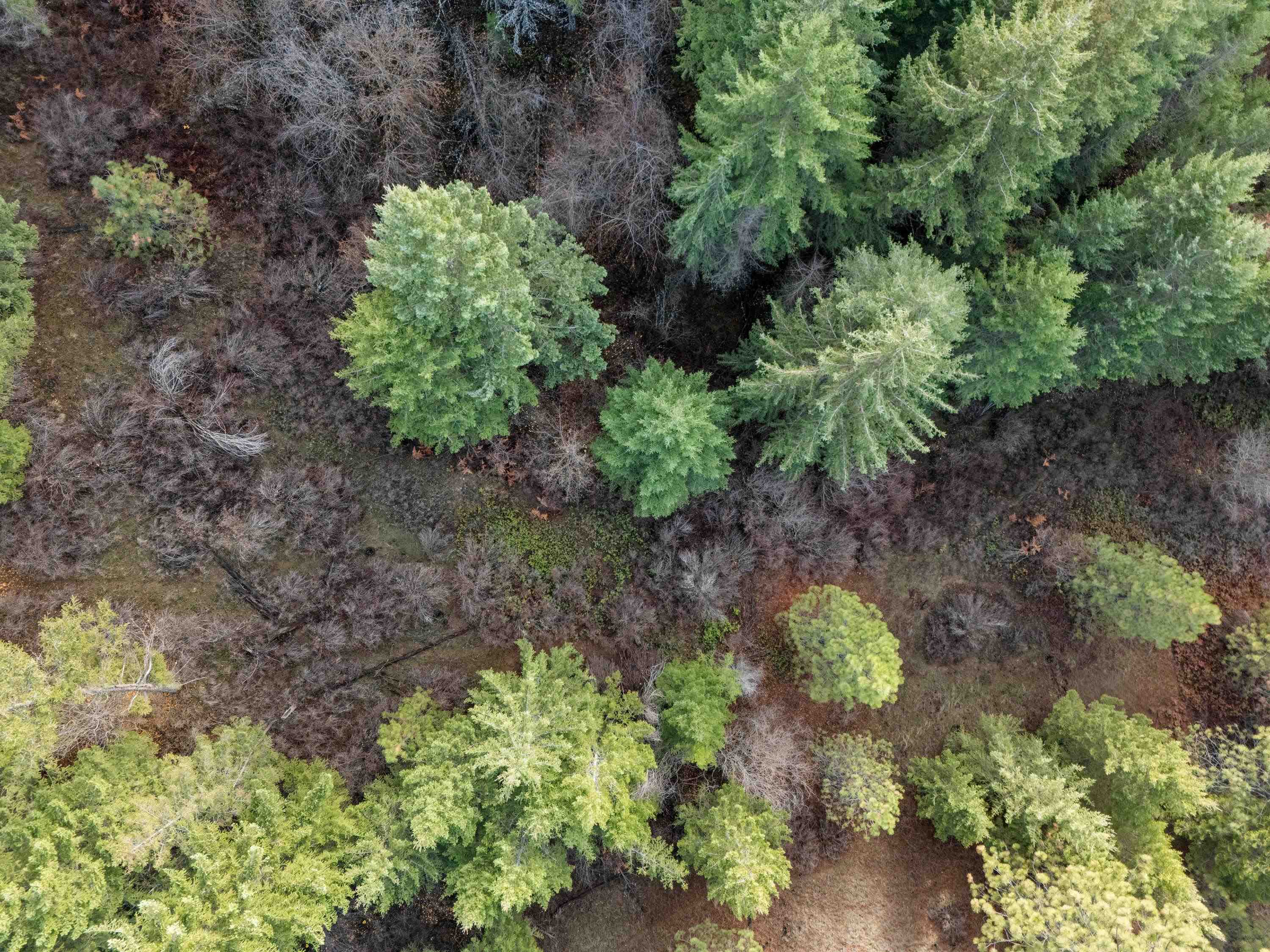 Xxxx East Vw Rdg Lane Spokane, WA 99206 - Photo 21 of 32