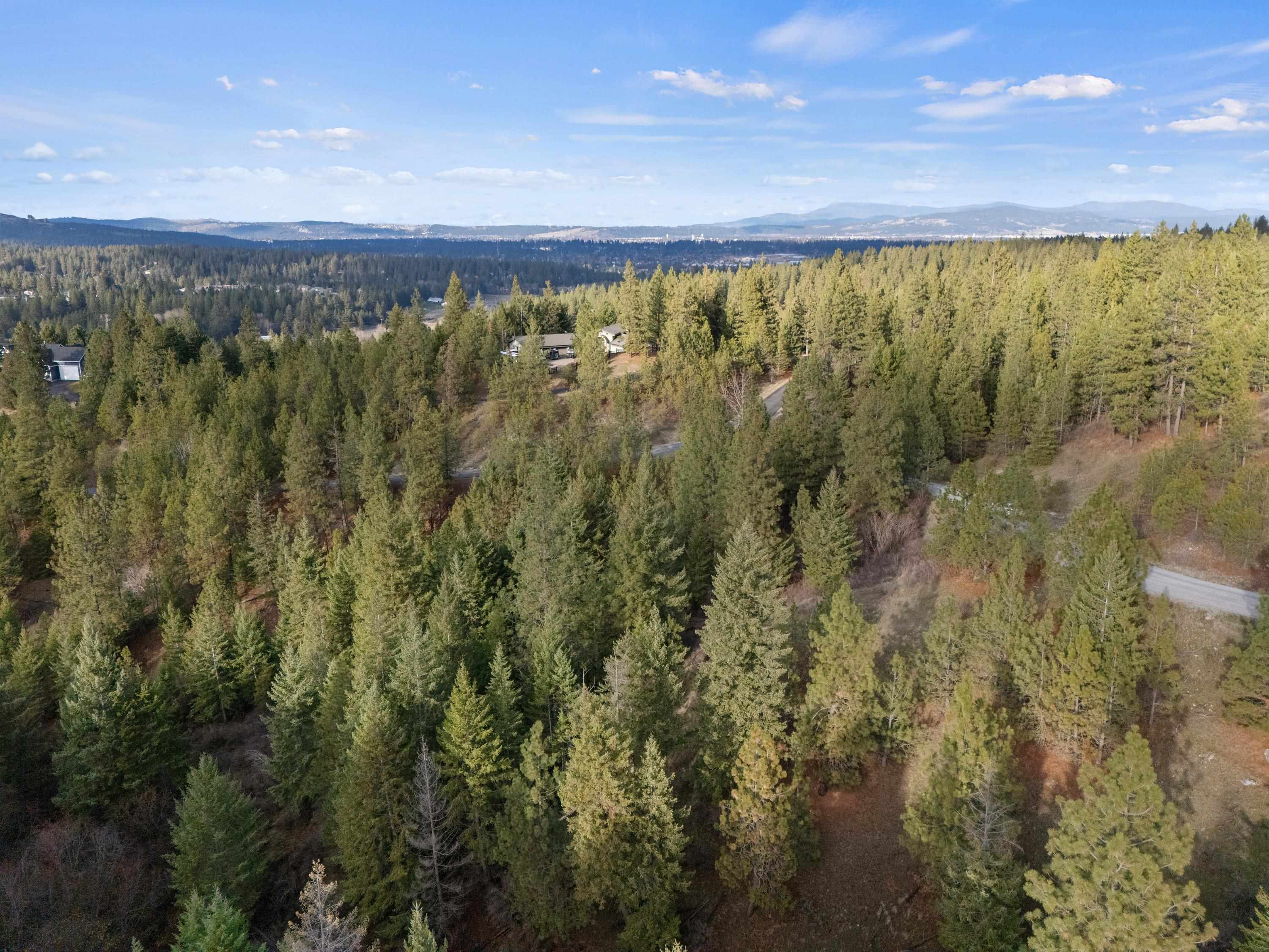 Xxxx East Vw Rdg Lane Spokane, WA 99206 - Photo 22 of 32