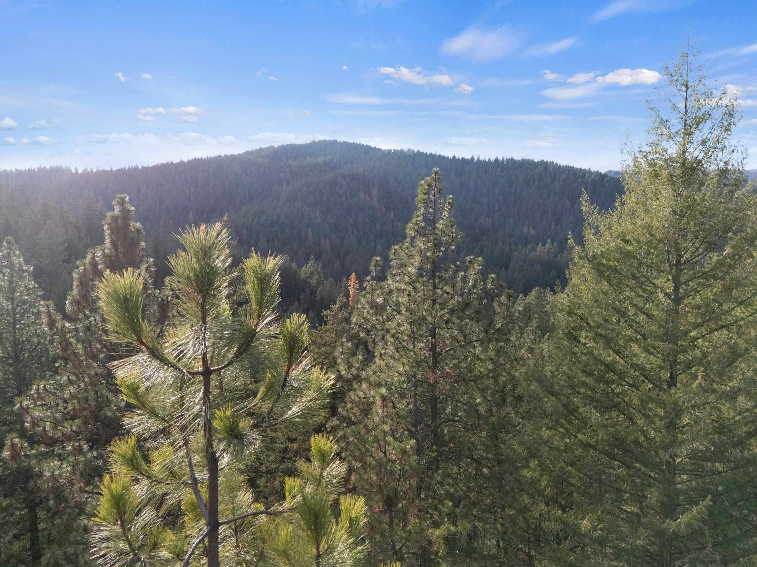 Xxxx East Vw Rdg Lane Spokane, WA 99206 - Photo 25 of 32