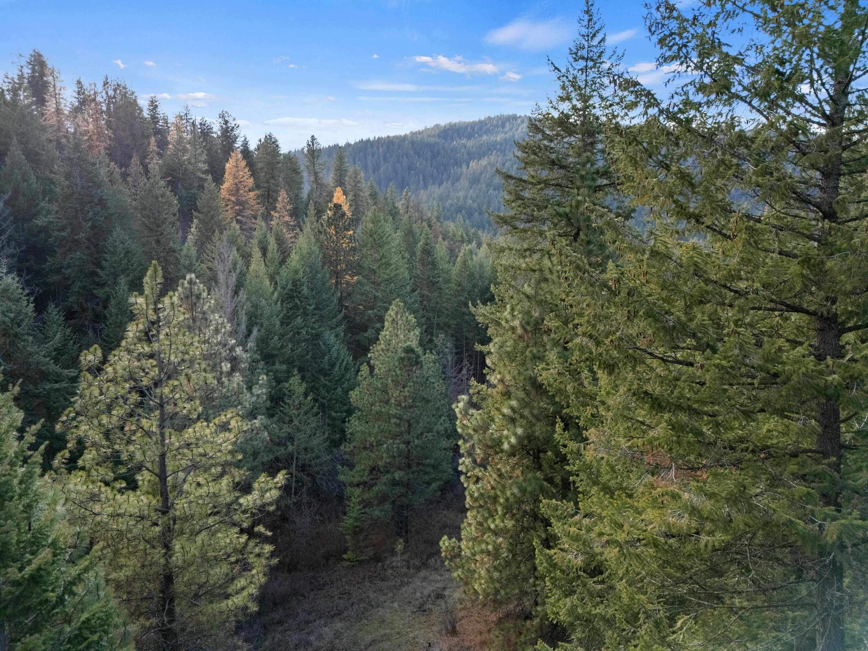 Xxxx East Vw Rdg Lane Spokane, WA 99206 - Photo 26 of 32